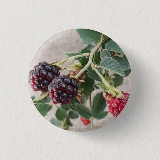 Reifende BlackBerry Button (Vorderseite)