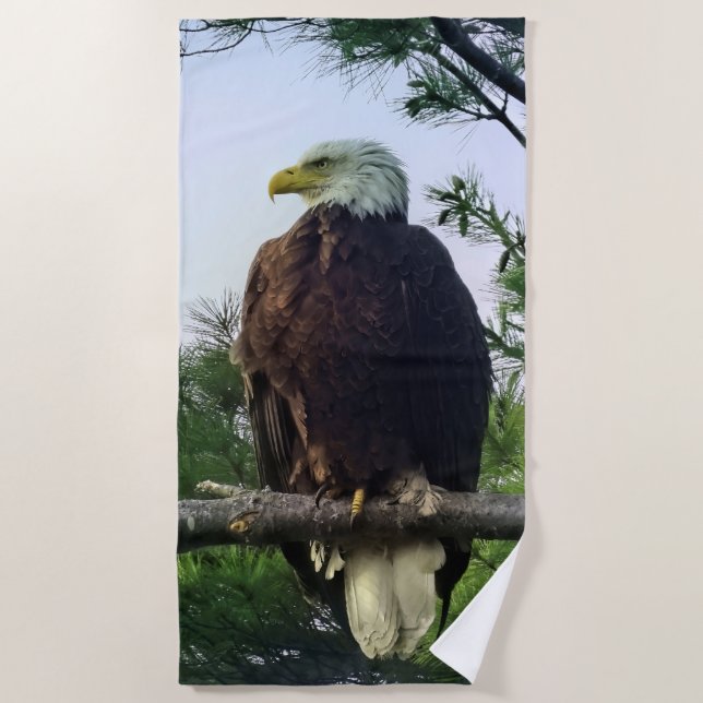 Reifender Adler aus Bald in Evergreen Tree Strandtuch (Vorderseite)