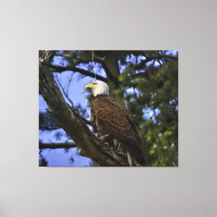 Reifender Adler aus Holz Leinwanddruck