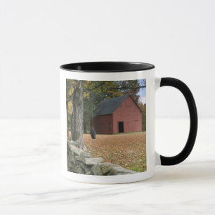 Reifenschaukel an einer Straße im Süden Vermonts, Tasse
