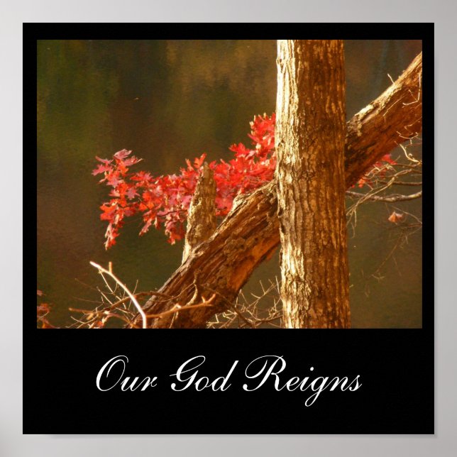 Reigns Poster (Vorne)