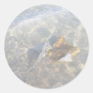 Reihe Cownose Stingray-OBX Runder Aufkleber