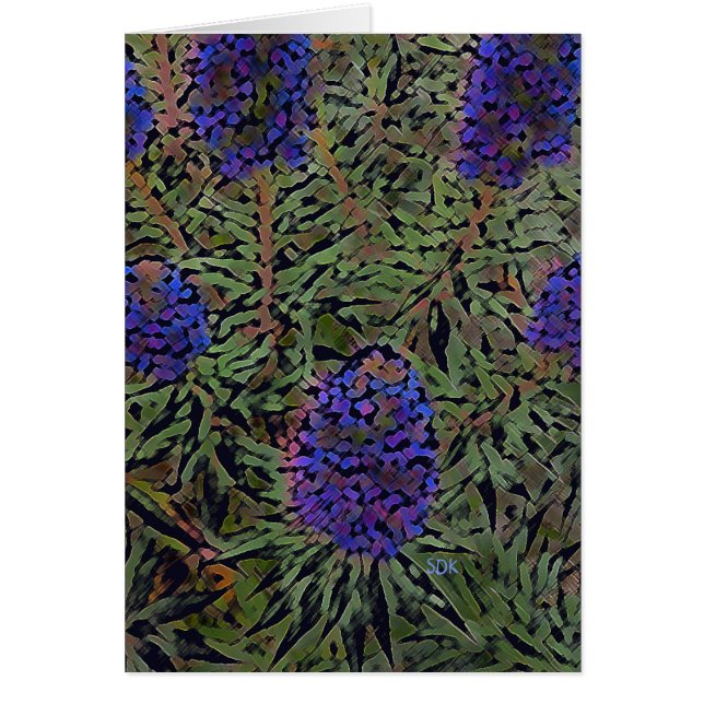 Reihe der Lavendel (Vorne)