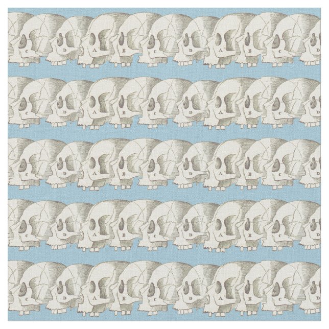 Reihe der Schädel Stoff (Nahaufnahme)