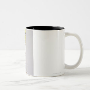 Reihe der Schmetterlinge Zweifarbige Tasse