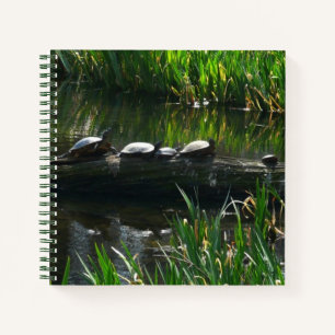Reihe grüner Schildkröten in der Natur Foto Notizbuch