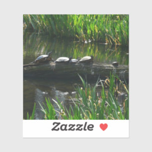 Reihe von grünen Naturfotos von Schildkröten Aufkleber