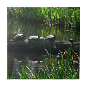 Reihe von grünen Naturfotos von Schildkröten Fliese