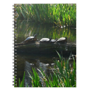 Reihe von grünen Naturfotos von Schildkröten Notizblock