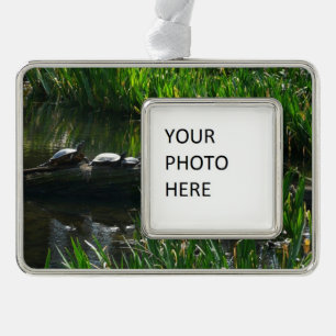 Reihe von grünen Naturfotos von Schildkröten Rahmen-Ornament Silber
