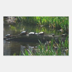 Reihe von grünen Naturfotos von Schildkröten Rechteckiger Aufkleber