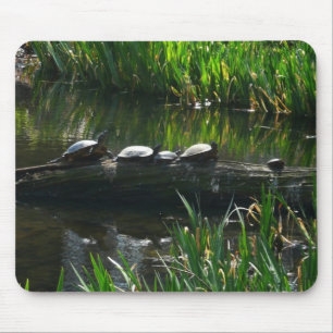 Reihe von grünen Schildkröten in der Natur Foto Mousepad