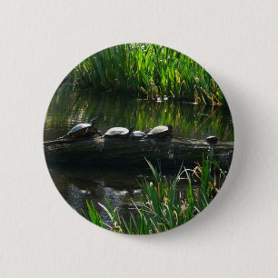 Reihe von Schildkröten Grünes Foto Button