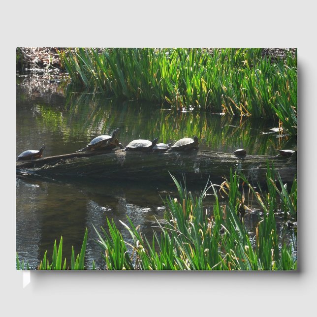 Reihe von Schildkröten Grünes Foto Gästebuch (Vorderseite)