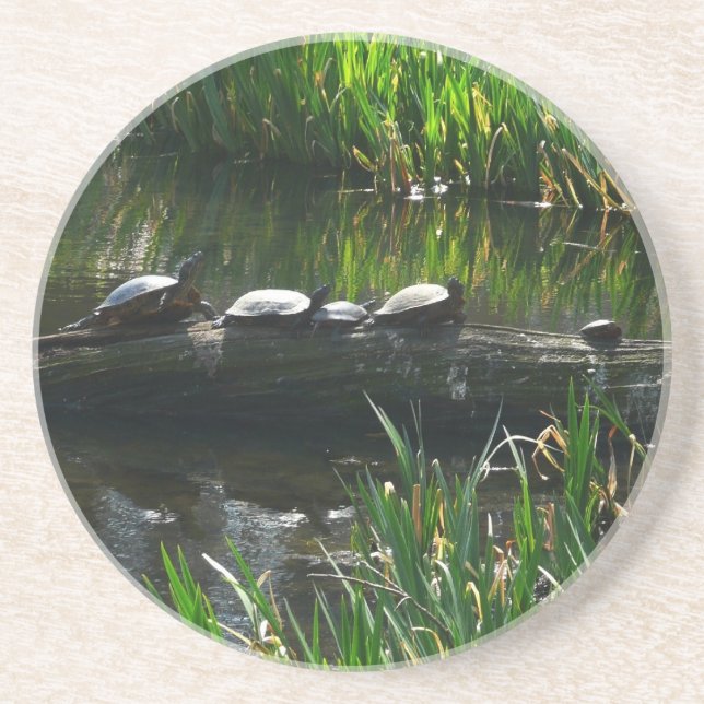 Reihe von Schildkröten Grünes Foto Getränkeuntersetzer (Vorne)