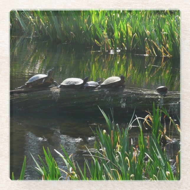 Reihe von Schildkröten Grünes Foto Glasuntersetzer (Vorderseite)
