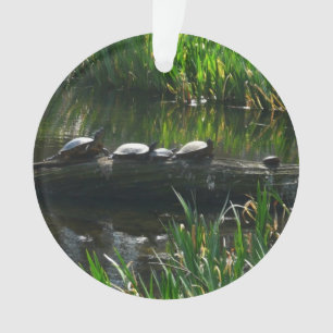 Reihe von Schildkröten Grünes Foto Ornament