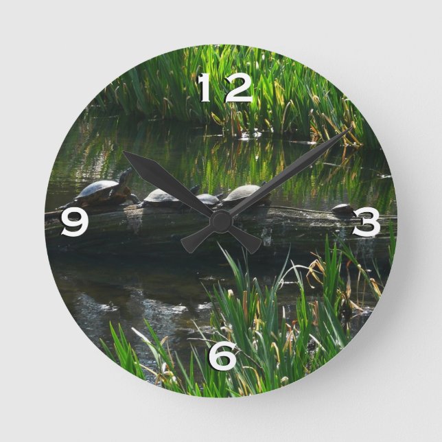 Reihe von Schildkröten Grünes Foto Runde Wanduhr (Vorderseite)
