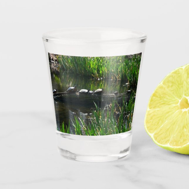 Reihe von Schildkröten Grünes Foto Schnapsglas (Vorderseite)