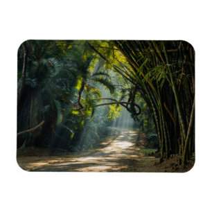 Reihen des Bambusses Magnet