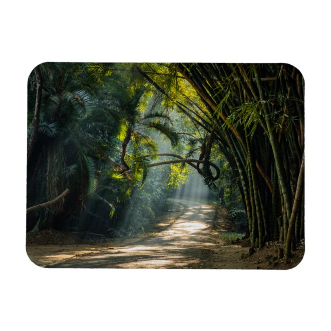 Reihen von Bamboo Magnet (Horizontal)