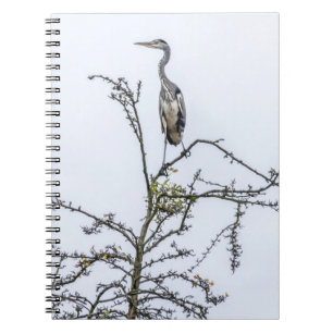 Reiher auf einem Baumnotizbuch Notizblock