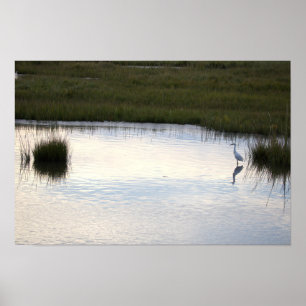 Reiher im Wasser Poster
