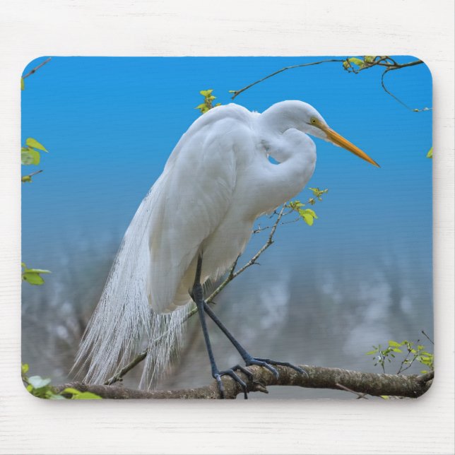 Reiher in einem Baum Mousepad (Vorne)