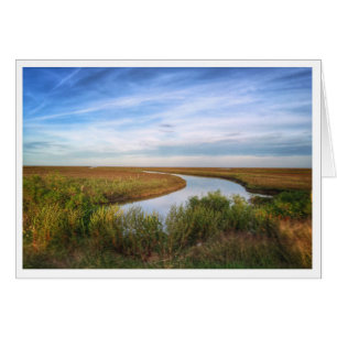Reiher-Insel, Matagorda, TX