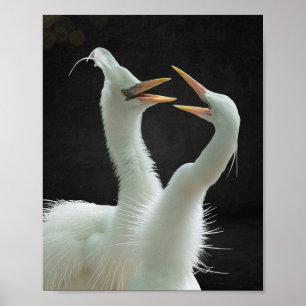 Reiher schwarz und weiß Tropicaler Kunstdruck Poster