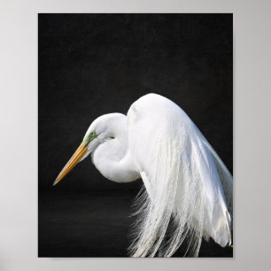 Reiher schwarz und weiß Tropicaler Kunstdruck Poster