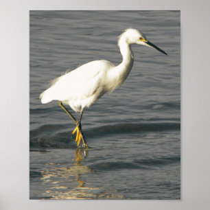 Reiher schwarz und weiß Tropische druckbare Kunst Poster