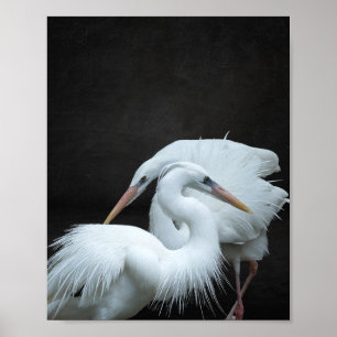 Reiher schwarz und weiß, tropische druckbare Kunst Poster
