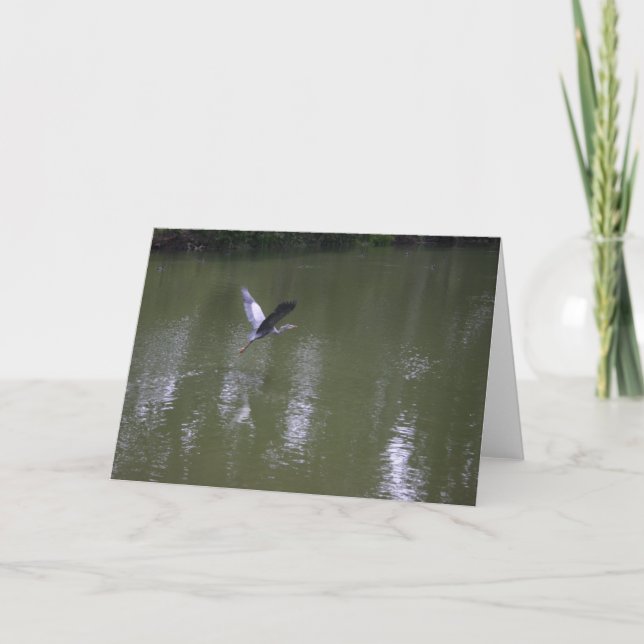 Reiher über ruhiger Wasser-Gruß-Karte Karte (Vorderseite)