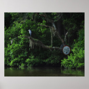 Reiher und fauler Fluss-Plakat-Druck Poster