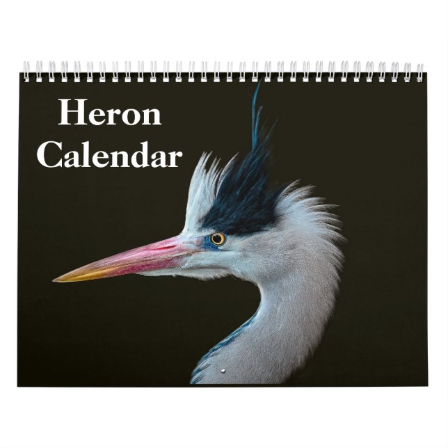 Reiher Vogel 2027 Kalender (Titelbild)