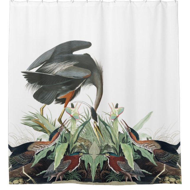 Reiher-Vögel Audubon Tier-Teich-Duschvorhang Duschvorhang (Vorderseite)