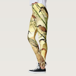 Reiher-Vogel-wild lebende Tiere ganz über Druck Leggings