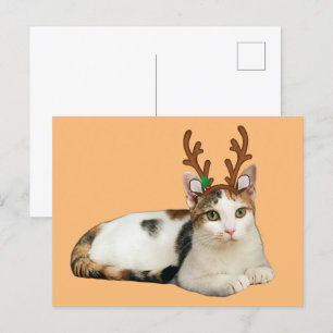 Reindeer Cleopatra Feiertagspostkarte