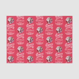 Reindeer Express von Weihnachts-Weihnachtsrot aus  Seidenpapier