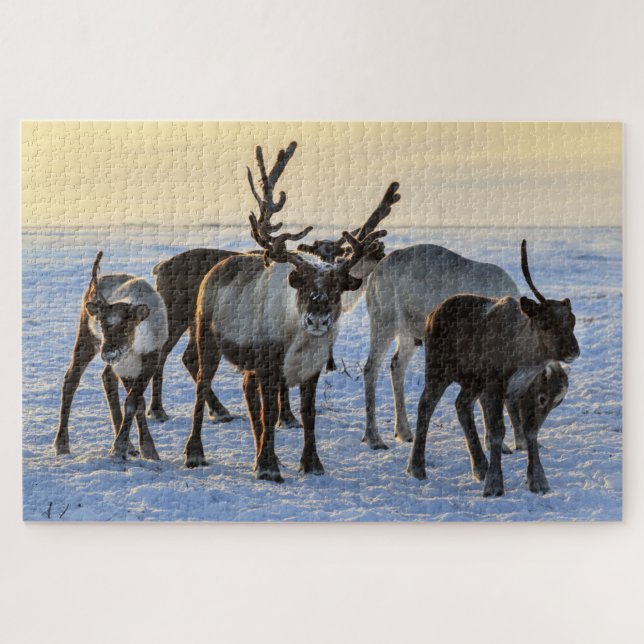 Reindeer Family in the Snow (Horizontal)