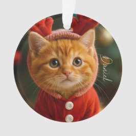 Reindeer Kitten Ornament