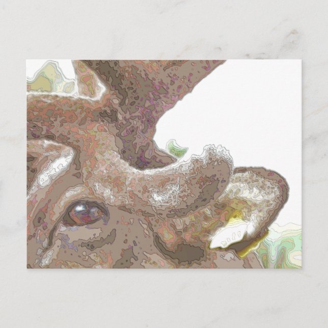 REINDEER POSTKARTE (Vorderseite)