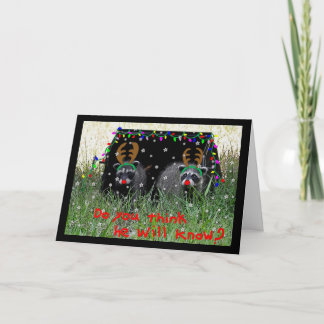 Reindeer veut la carte de Noël