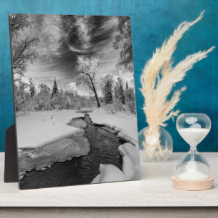 Reine Campbell Creek Fotoplatte