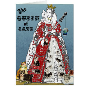 Reine de carte de chats
