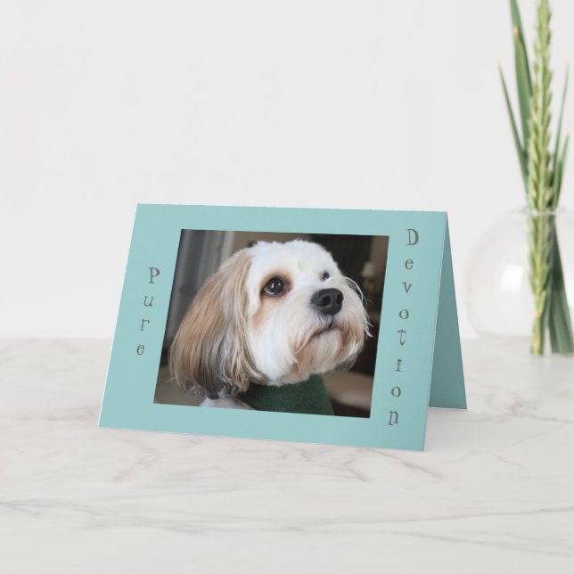 Reine Hingabekarte Karte (Vorderseite)