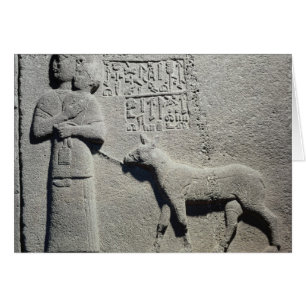 Reine Tuwarissa, épouse du roi Araras
