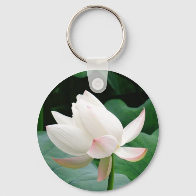 Reine Wasserlilie mit rosa Spitzen Schlüsselanhänger (Vorderseite)