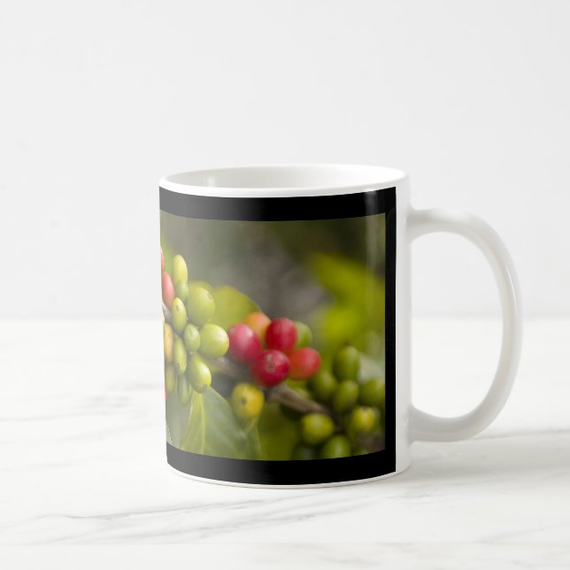 REINER KONA KAFFEE KAFFEETASSE (Rechts)